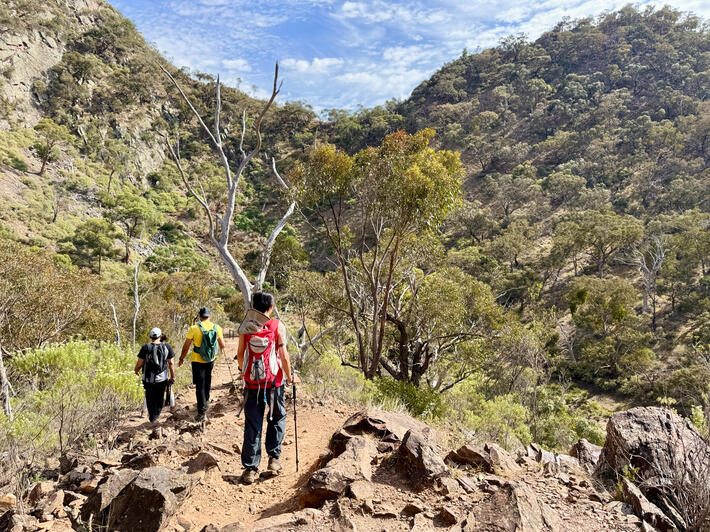 Werribee Gorge, VIC