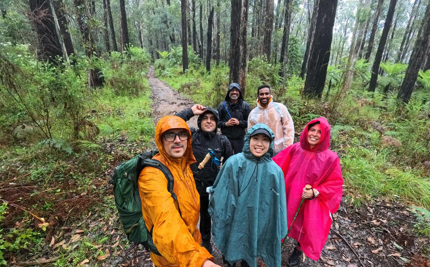 Steavenson Falls Trail, Marysville, VIC