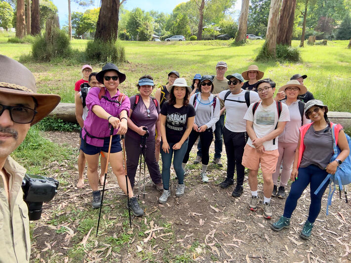 Sherbrooke Forest, Dandenong Ranges, VIC