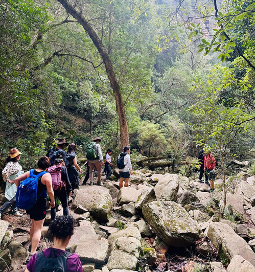 Mitchell River National Park